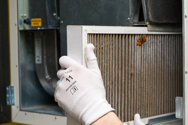 Best Affordable HVAC Duct Cleaning  in Imlay City, MI