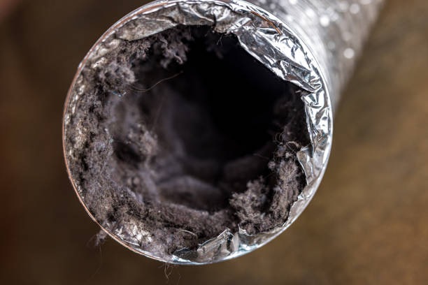 Best HVAC Maintenance and Cleaning  in Imlay City, MI