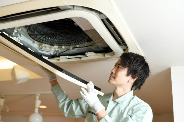 Best Ductwork Cleaning Services  in Imlay City, MI